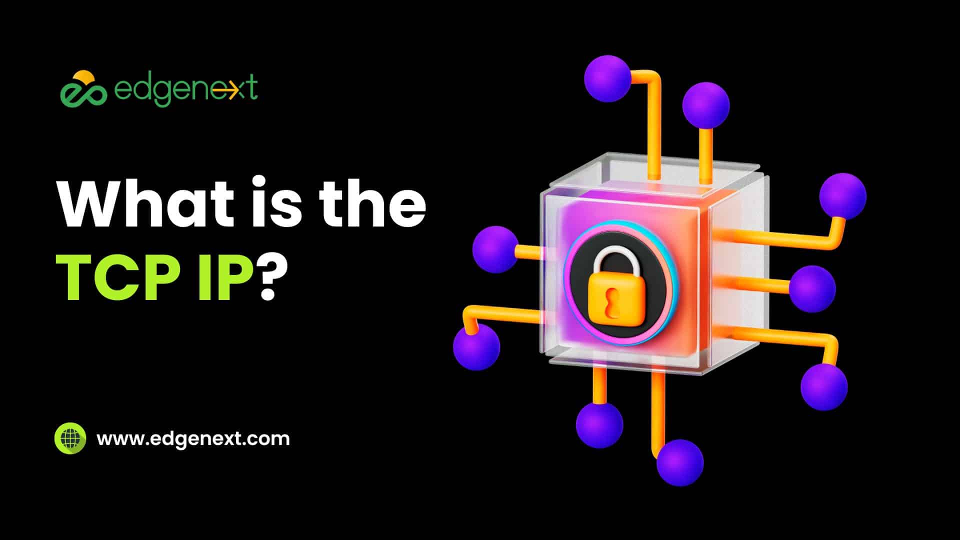 What is the TCP IP?